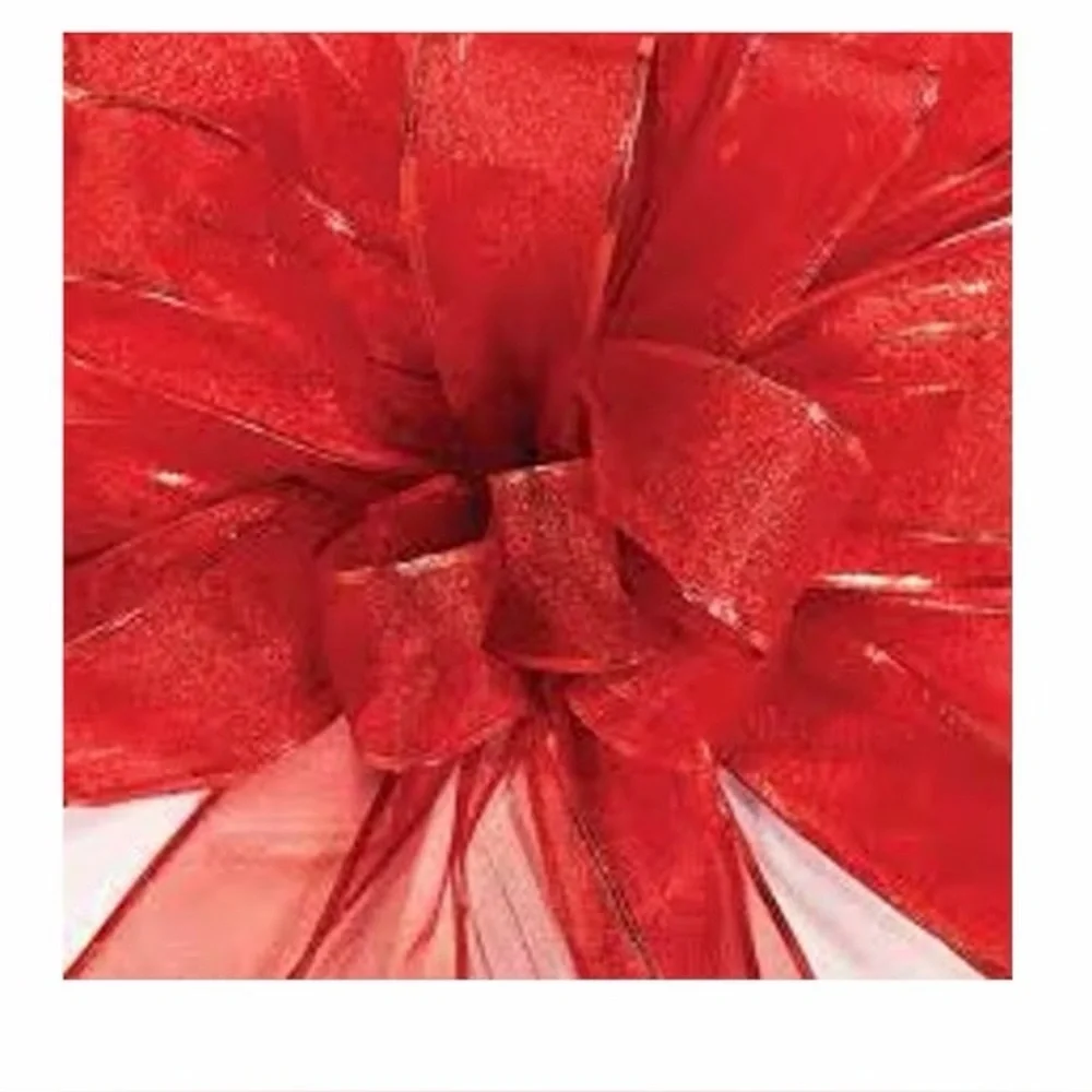 LA Ribbons & Craft satin organza